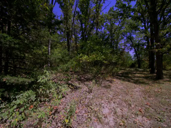 Tract 3&4 Simpson Rd, Urbana, MO 65767