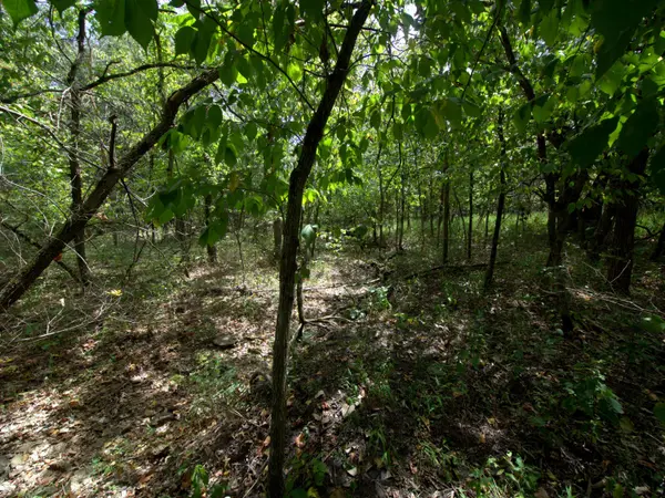 Tract 2-4 Simpson Rd, Urbana, MO 65767