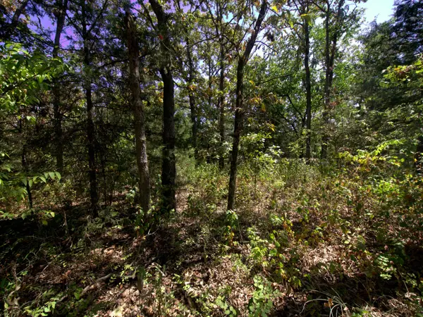 Tract 2-4 Simpson Rd, Urbana, MO 65767