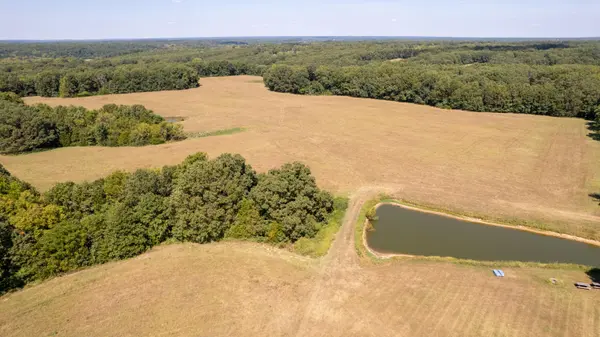 000 Little Creek DR, Fordland, MO 65652