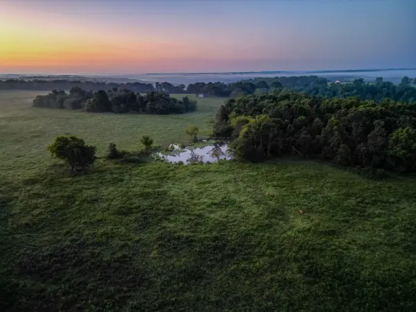 000 Grimes Mill DR, Mountain Grove, MO 65711