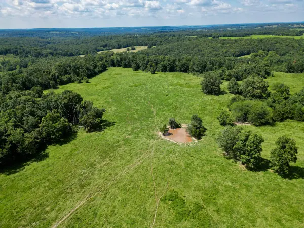 000 Grimes Mill DR, Mountain Grove, MO 65711