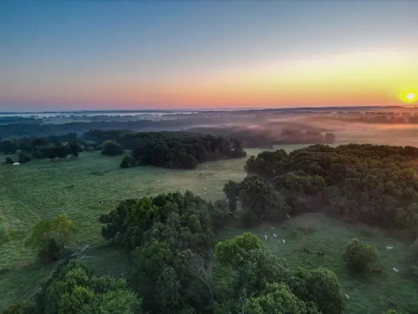 000 Grimes Mill DR, Mountain Grove, MO 65711