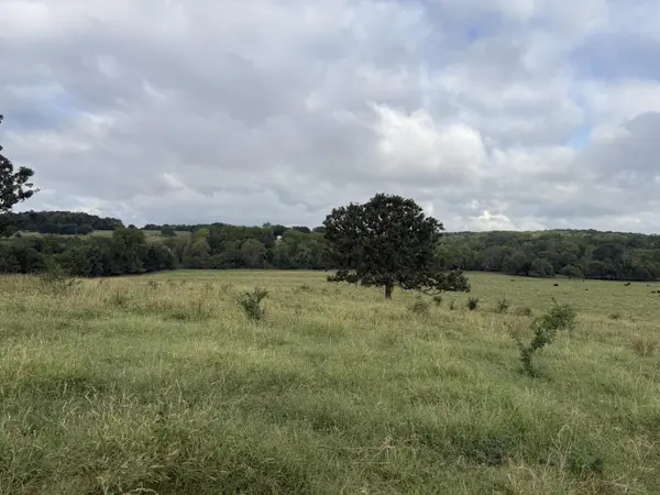 Tract 2 S Farm Road 55, Republic, MO 65738