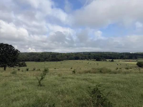 Tract 5 S Farm Road 55, Republic, MO 65738