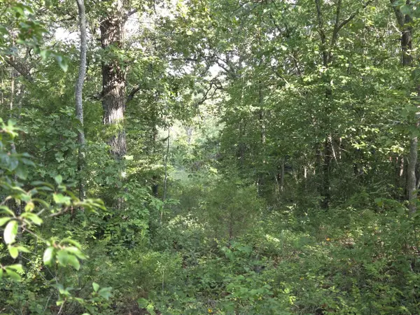 000 Sandy RD, Edwards, MO 65326