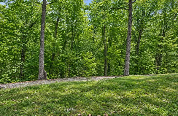 28 Bright DR, Branson West, MO 65737