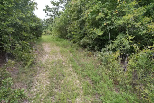 000 County Road 76-126, Ava, MO 65608