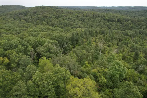 000 County Road 76-126, Ava, MO 65608