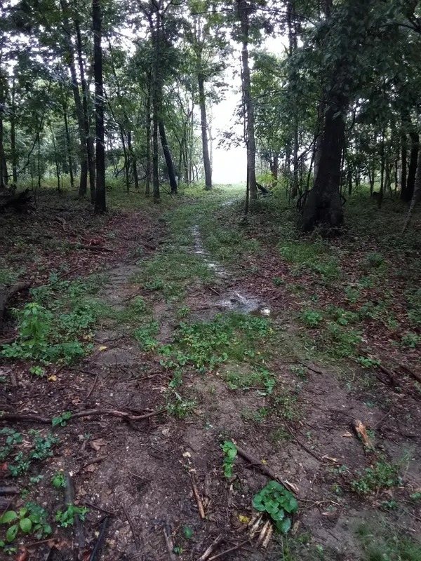 000 Fraker Road, Buffalo, MO 65622