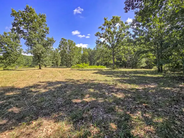 000 Highway 181, Cabool, MO 65689