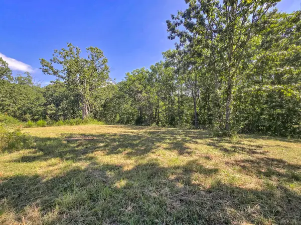 000 Highway 181, Cabool, MO 65689