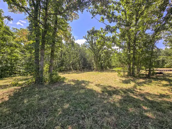 000 Highway 181, Cabool, MO 65689