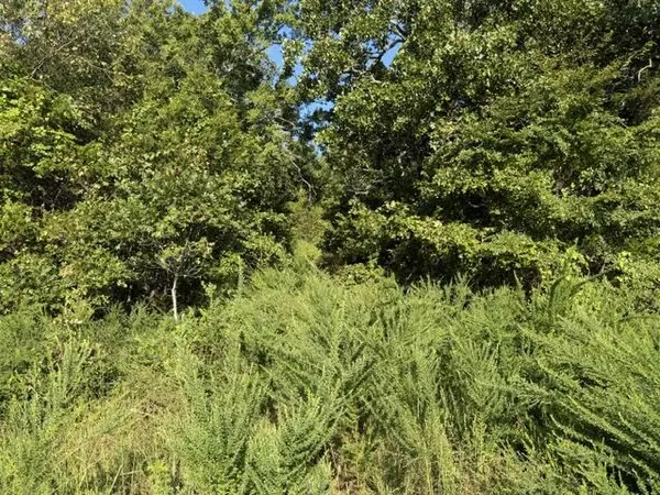 Tbd County Road 9068, Green Forest, AR 72638