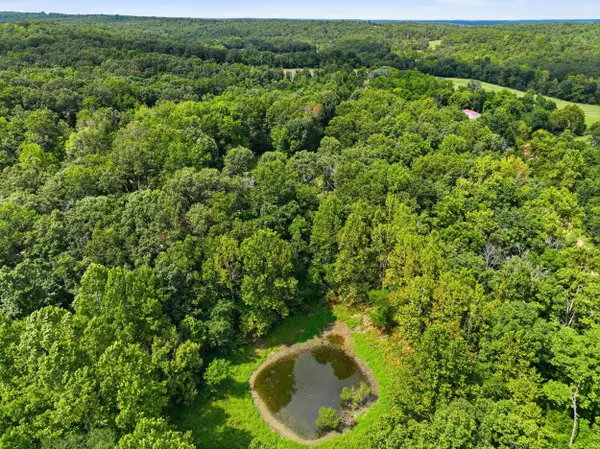 3320 County Road 328, Thayer, MO 65791