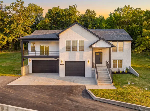 186 Jacks Hollow RD, Walnut Shade, MO 65771