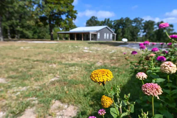 4015 E 1500 RD, Jerico Springs, MO 64756