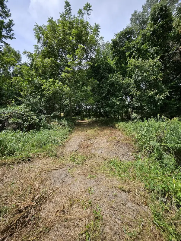 000 Settlers Trail RD, Marshfield, MO 65706