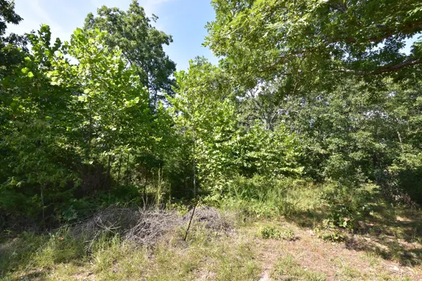 000 Deckard RD, Fordland, MO 65652