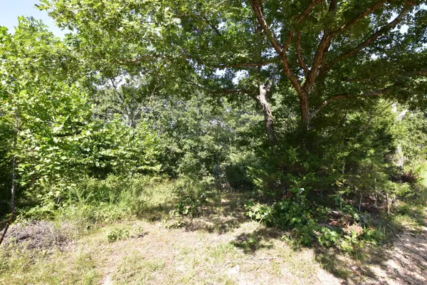 000 Deckard RD, Fordland, MO 65652