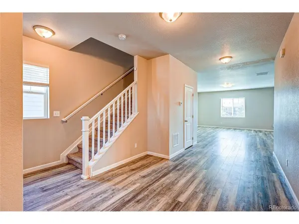 3426 Swabuck, Castle Rock, CO 80109