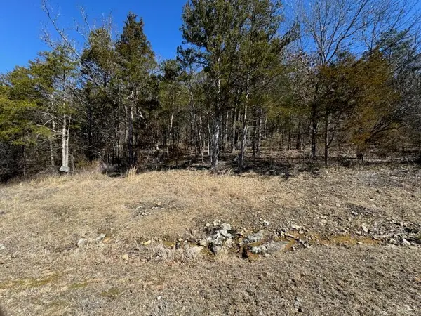 56(Lot 56) Ranch Road, Saddlebrooke, MO 65630