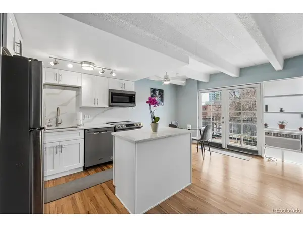33 N Corona #406, Denver, CO 80218