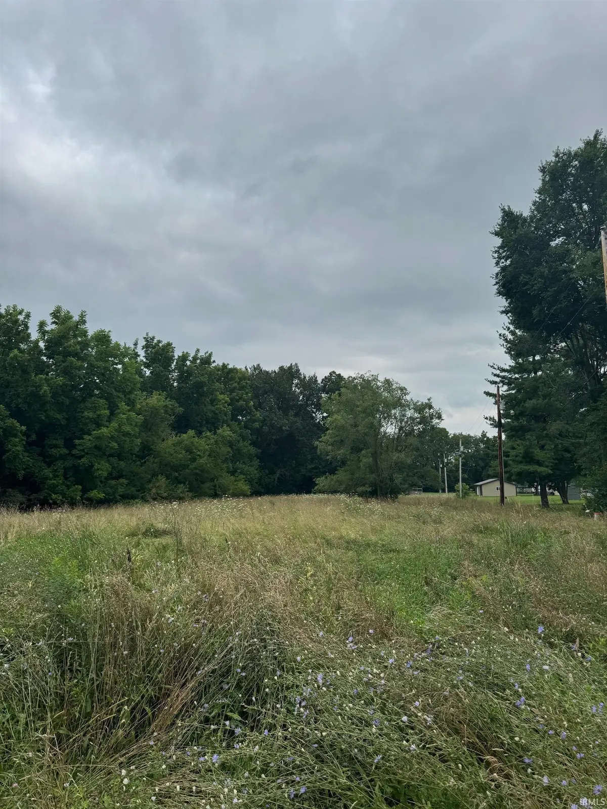 tbd Hickory ST, Williamsport, IN 47993