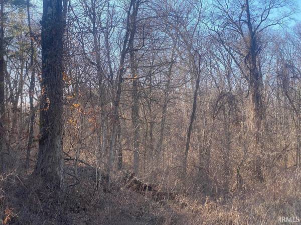 W St. Rd. 48 HWY, Jasonville, IN 47438
