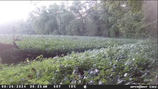 S 1850 W RD, Griffin, IN 47616