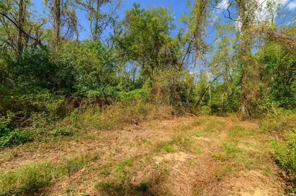 Tract 14 N State Road 156 RD, Patriot, IN 47038