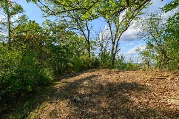 Tract 10 N State Road 156 HWY, Patriot, IN 47038