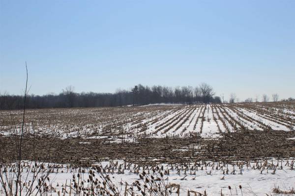TBD Family Dollar Parkway ***, Ashley, IN 46705