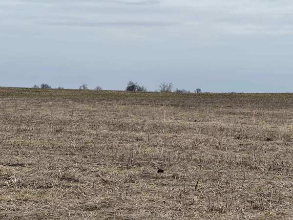 Lot 4 CR 925 ***, Haubstadt, IN 47639