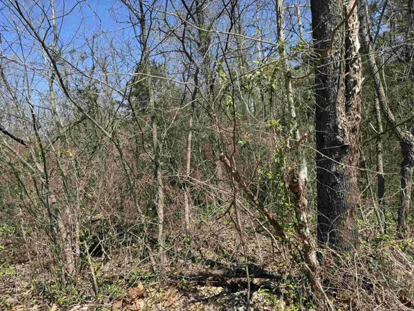 Lot B-21 Highway 46 ***, Spencer, IN 47460