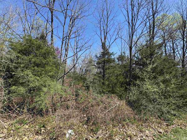Lot B-21 Highway 46 ***, Spencer, IN 47460