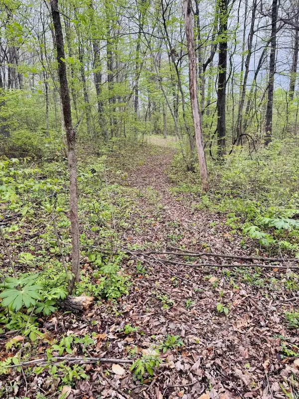 Tract 2 E Pine Road Common, Bloomfield, IN 47424