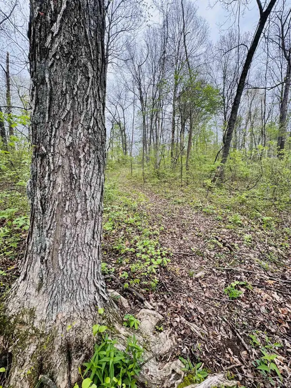 Tract 2 E Pine Road Common, Bloomfield, IN 47424