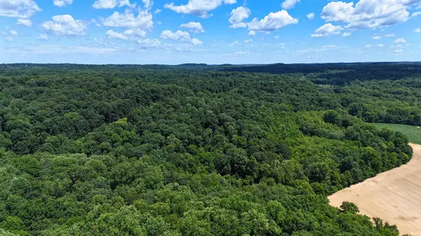 40 Acres 8669 Bird LN, Shoals, IN 47581-7370