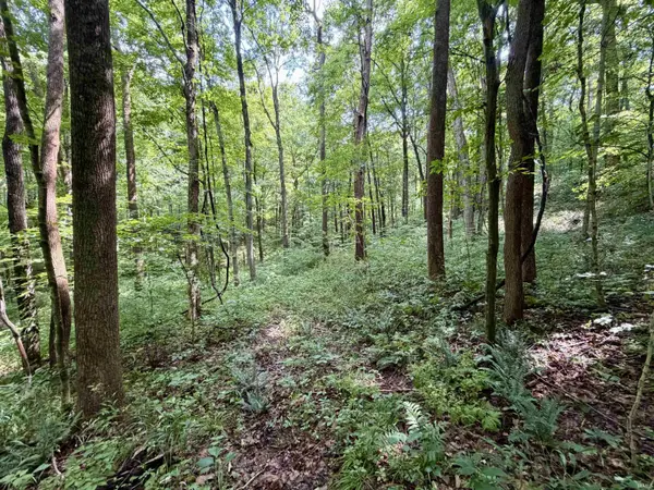 off Candlestick RD, Bristow, IN 47515