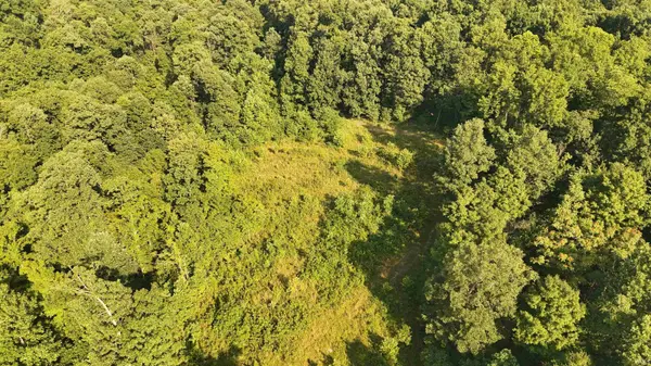 140+/- Ac off Eastlake DR, Bedford, IN 47421