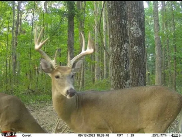 Lot 4 Deer Creek RD, Cannelton, IN 47520
