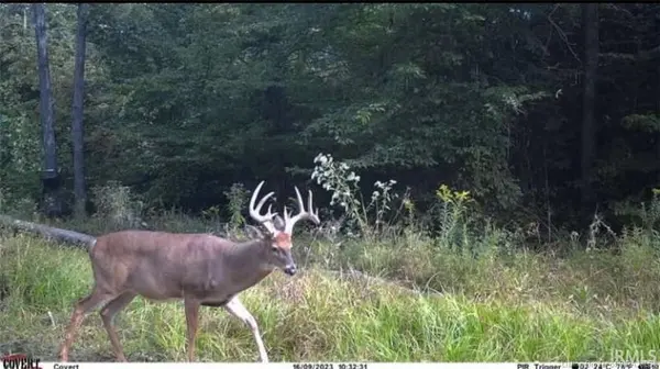 Lot 4 Deer Creek RD, Cannelton, IN 47520