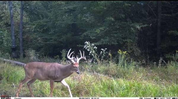 Lot 4 Deer Creek RD, Cannelton, IN 47520
