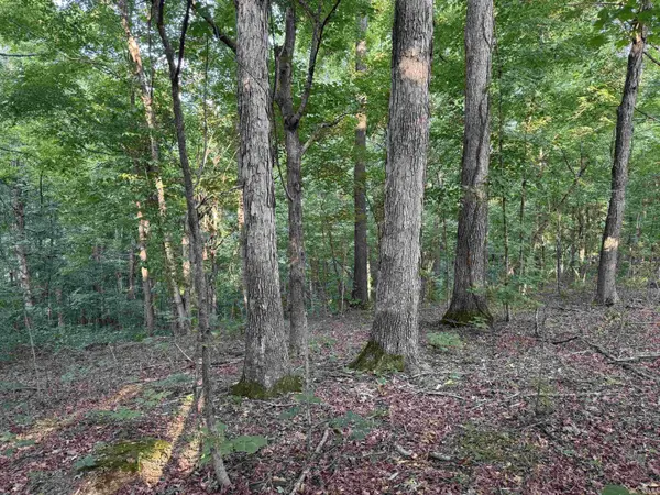 Brushy Fork RD, Tell City, IN 47586