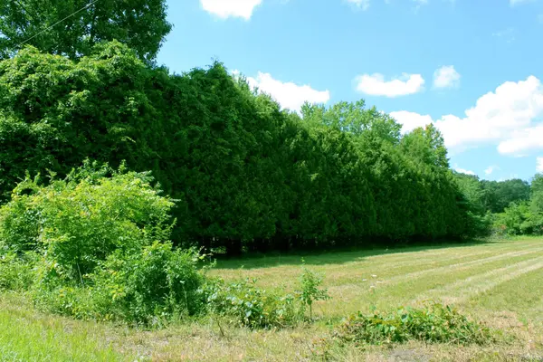 500 N 50 W ***, Winamac, IN 46996