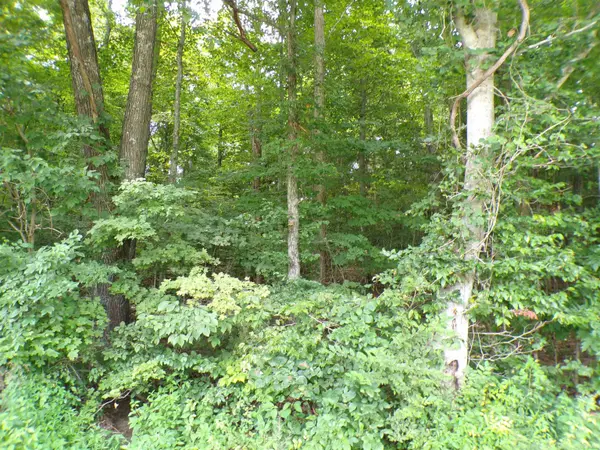 0 S Co Rd 350 W BLVD, Paoli, IN 47454