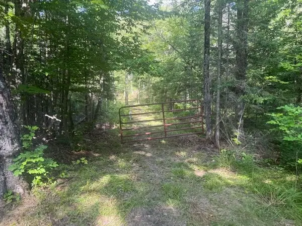 905 & 841 North McKenzie Lake RD, South Algonquin, ON K0J 2M0