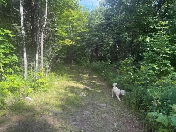 905 & 841 North McKenzie Lake RD, South Algonquin, ON K0J 2M0