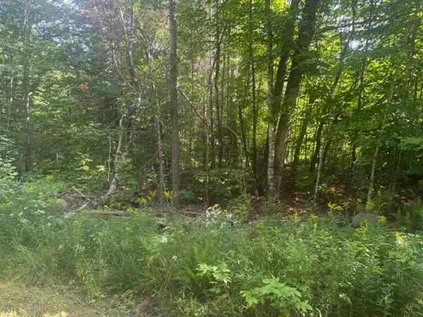 905 & 841 North McKenzie Lake RD, South Algonquin, ON K0J 2M0